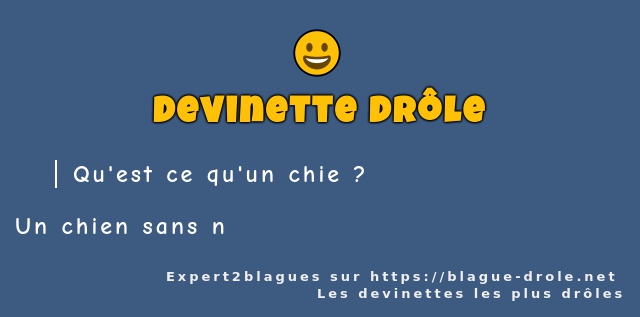 Qu'est ce qu'un chie ?