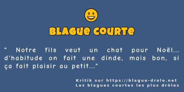 Notre fils veut un chat pour Noël......