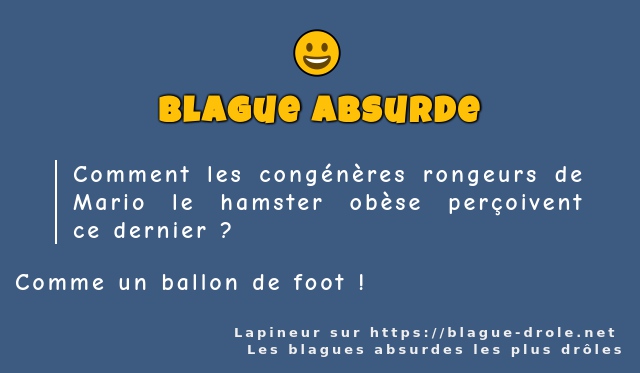 Comment les congénères rongeurs de Mario le...