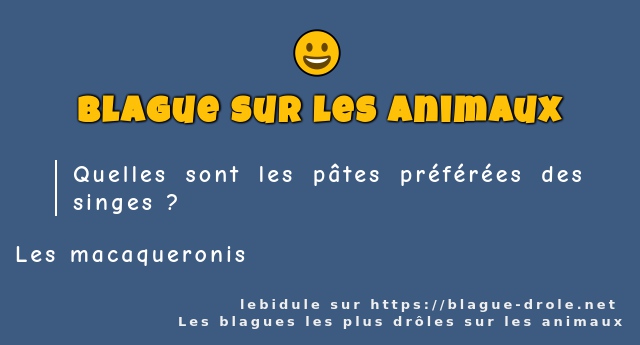 Quelles sont les pâtes préférées des singes ?