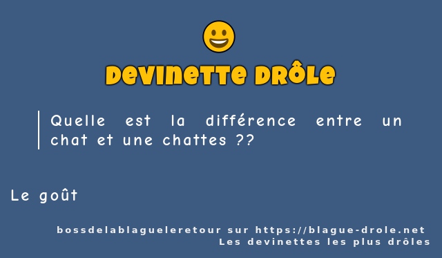 Quelle est la différence entre un chat et...