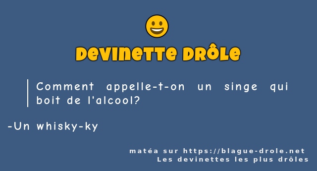 Comment appelle-t-on un singe qui boit de...