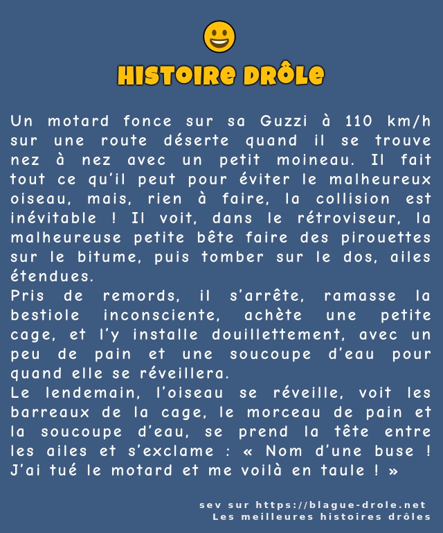 Un motard fonce sur sa Guzzi à 110 km/h sur...