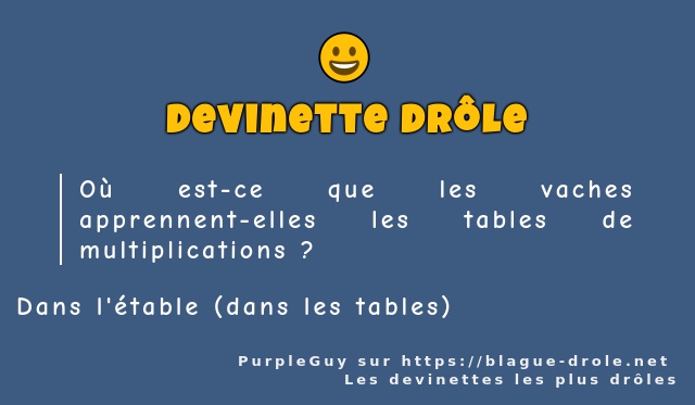 Où est-ce que les vaches apprennent-elles...