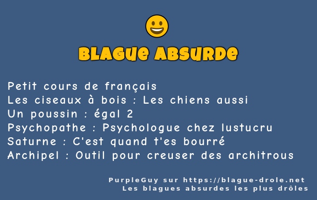 Petit cours de français 