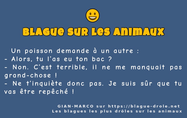   Un poisson demande à un autre :