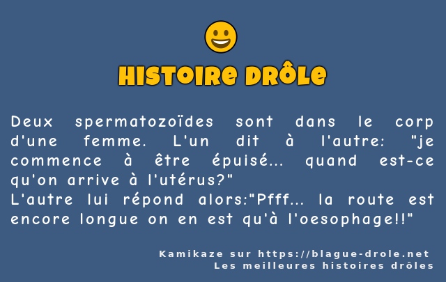Deux spermatozoïdes sont dans le corp d'une...