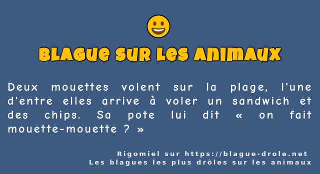 Deux mouettes volent sur la plage, l'une...