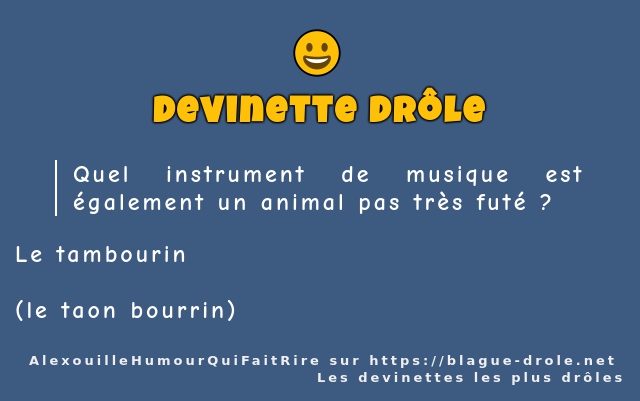 Quel instrument de musique est également un...