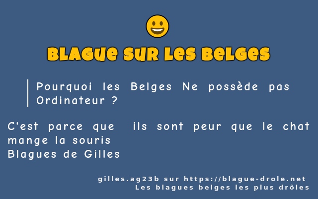 Pourquoi les Belges Ne possède pas...