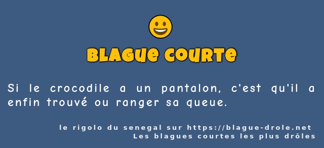 Si le crocodile a un pantalon, c'est qu'il a...