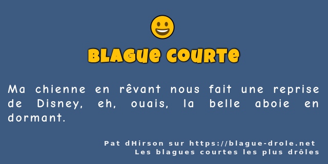 Ma chienne en rêvant nous fait une reprise...