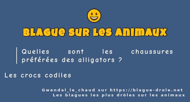 Quelles sont les chaussures préférées des...