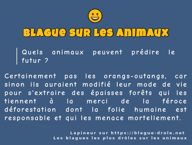 Quels animaux peuvent prédire le futur ?
