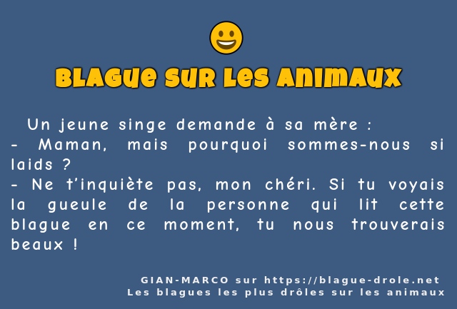   Un jeune singe demande à sa mère :
