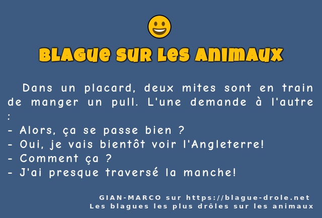   Dans un placard, deux mites sont en train...
