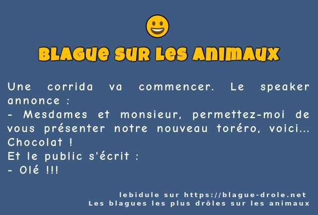 Une corrida va commencer. Le speaker annonce...