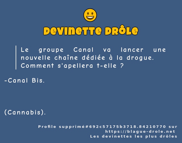 Le groupe Canal va lancer une nouvelle...
