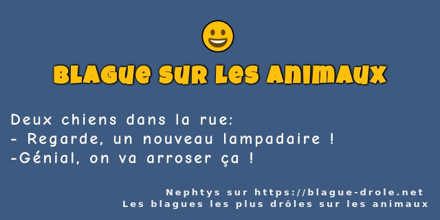 Deux chiens dans la rue: