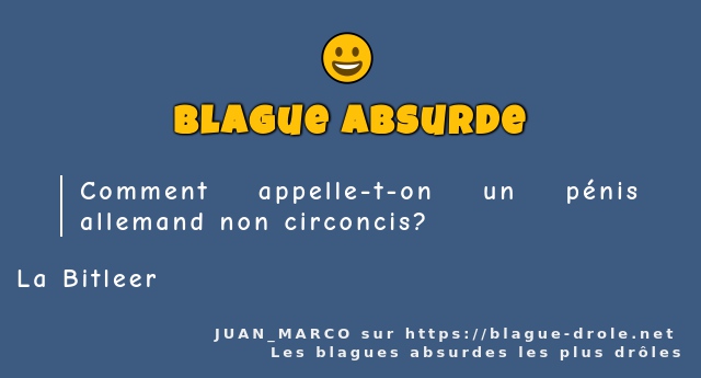 Comment appelle-t-on un pénis allemand...