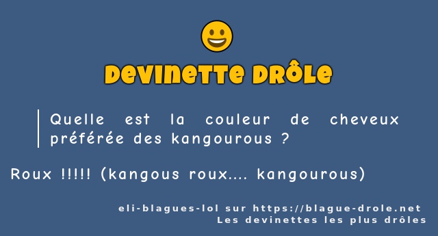 Quelle est la couleur de cheveux préférée...
