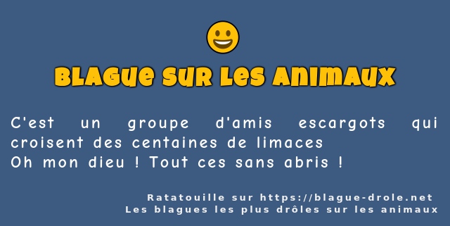 C'est un groupe d'amis escargots qui...
