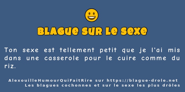 Ton sexe est tellement petit que je l'ai mis...