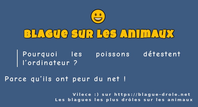 Pourquoi les poissons détestent l’ordinateur...