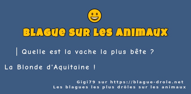 Quelle est la vache la plus bête ?