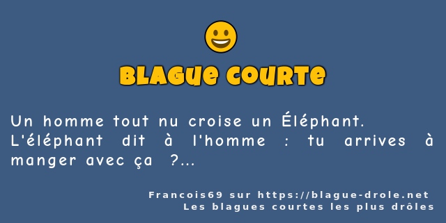 Un homme tout nu croise un Éléphant.