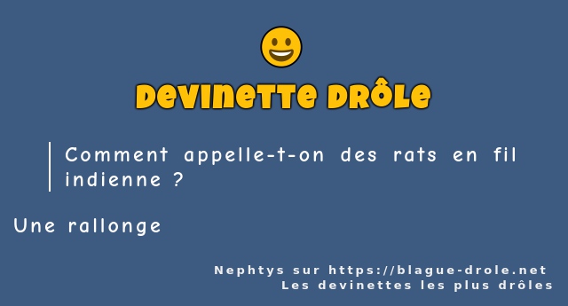 Comment appelle-t-on des rats en fil...