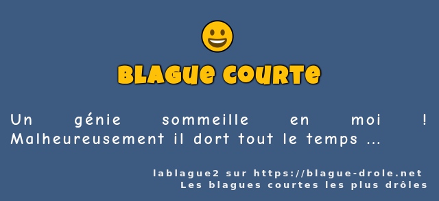 Un génie sommeille en moi ! Malheureusement...