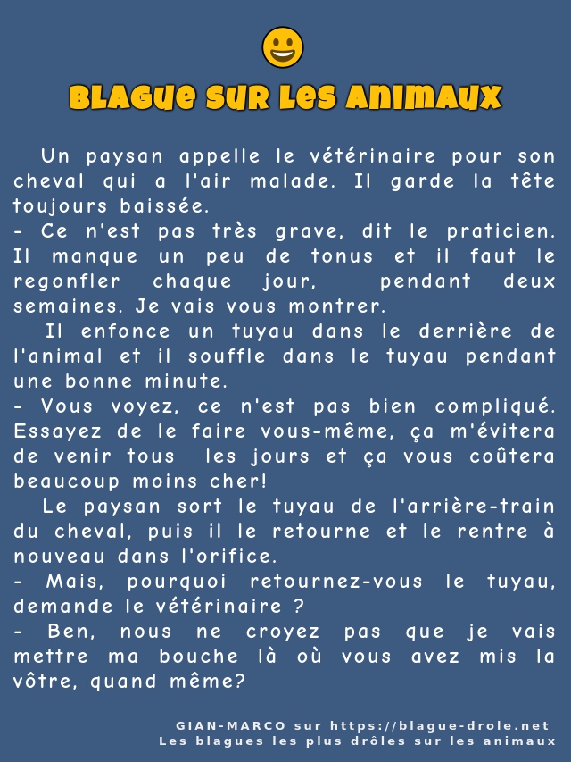   Un paysan appelle le vétérinaire pour son...