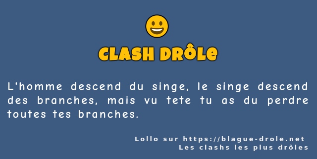 L'homme descend du singe, le singe descend...