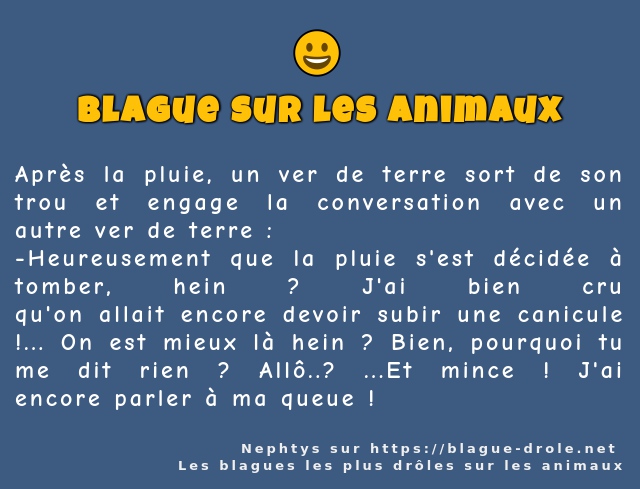 Après la pluie, un ver de terre sort de son...