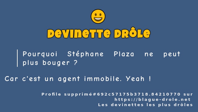 Pourquoi Stéphane Plaza ne peut plus bouger ?