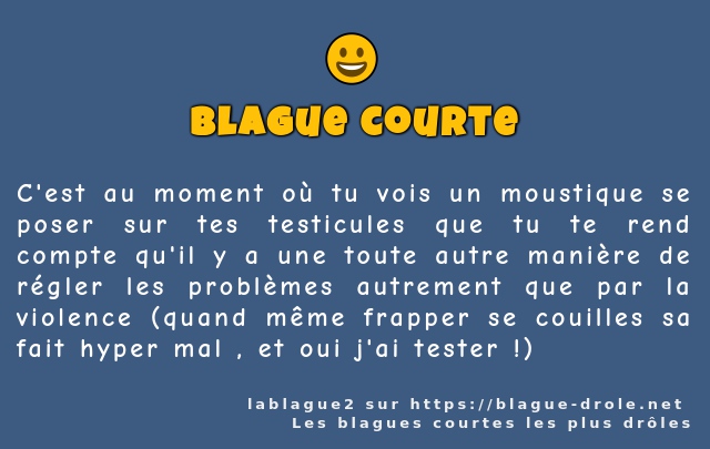 C'est au moment où tu vois un moustique se...