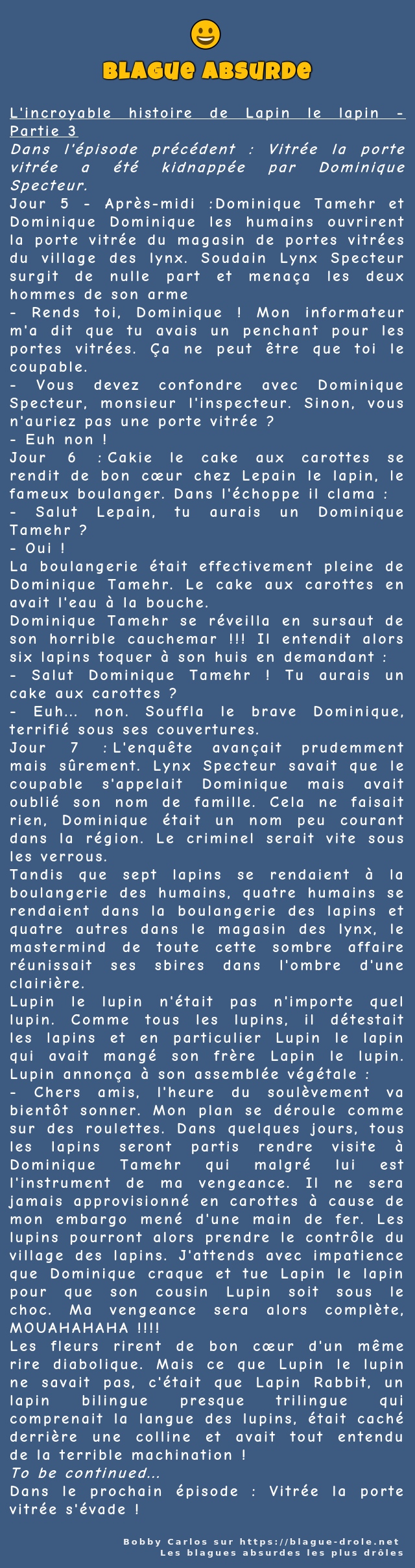 L'incroyable histoire de Lapin le lapin -...