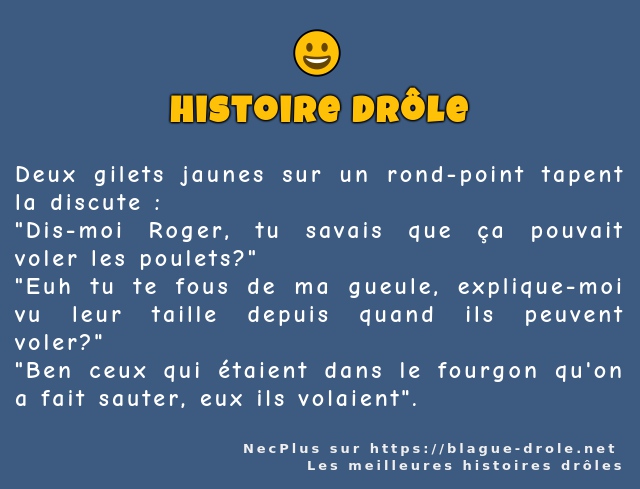 Deux gilets jaunes sur un rond-point tapent...