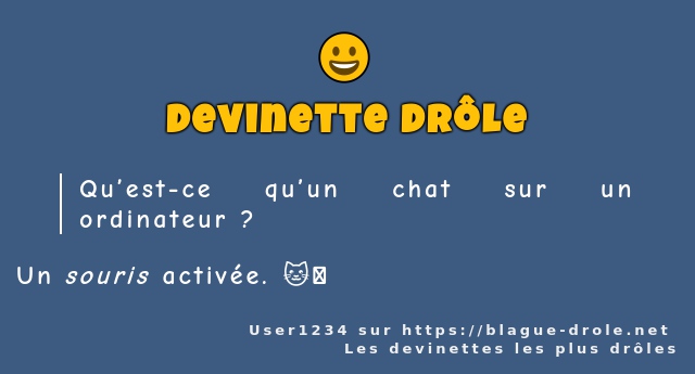 Qu’est-ce qu’un chat sur un ordinateur ?