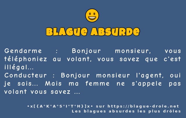 Gendarme : Bonjour monsieur, vous...