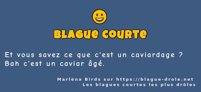 Et vous savez ce que c'est un caviardage ?
