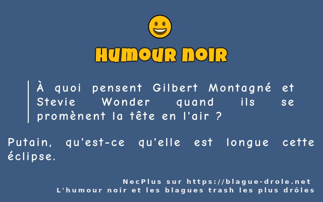 À quoi pensent Gilbert Montagné et Stevie...