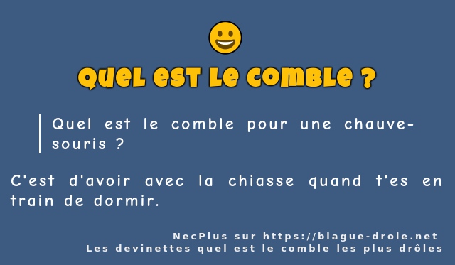 Quel est le comble pour une chauve-souris ?