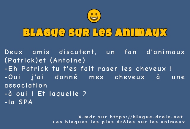 Deux amis discutent, un fan d'animaux...