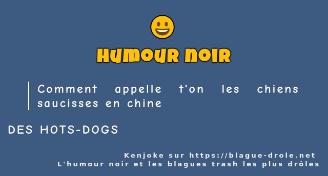 Comment appelle t'on les chiens saucisses en...