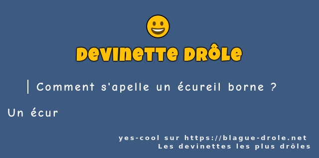 Comment s'apelle un écureil borne ?
