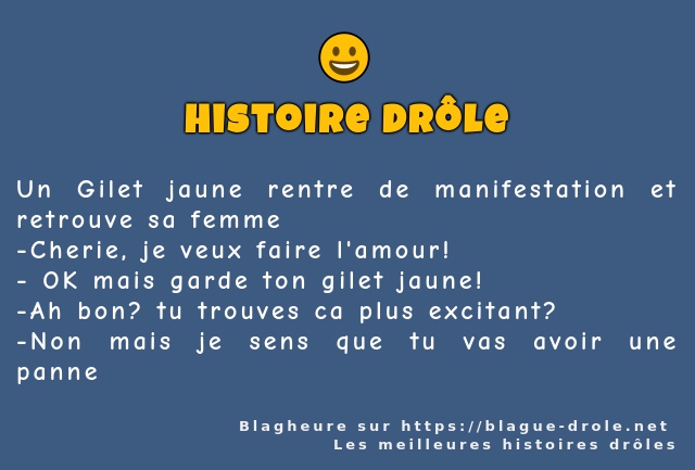 Un Gilet jaune rentre de manifestation et...