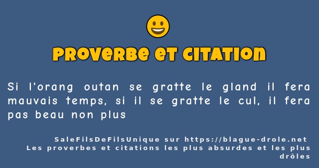 Si l'orang outan se gratte le gland il fera...