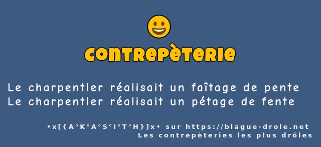 Le charpentier réalisait un faîtage de pente
